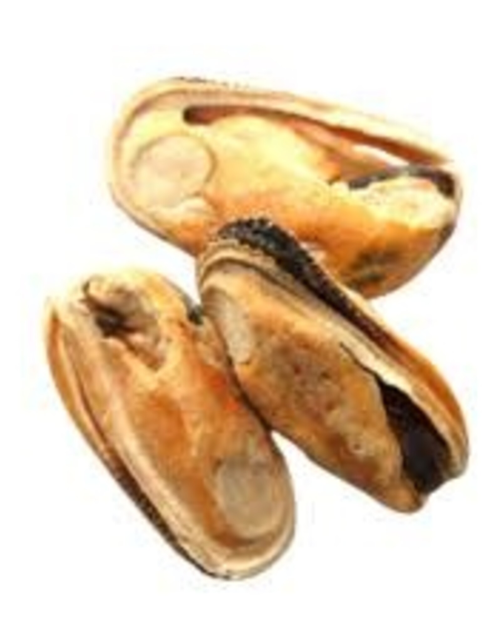 Rawr Rawr Green Lipped Mussels 1lb