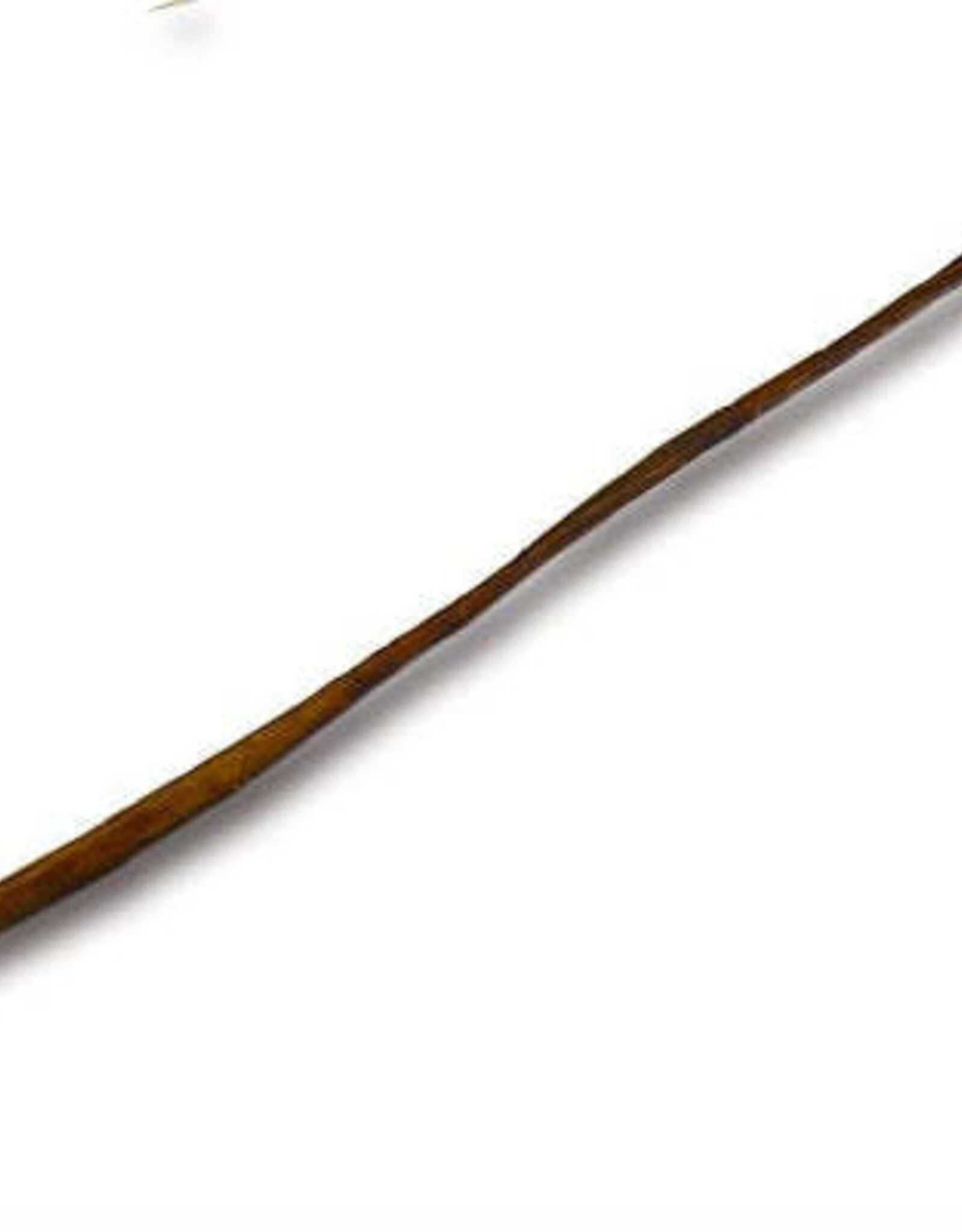 Bully Cane 24"