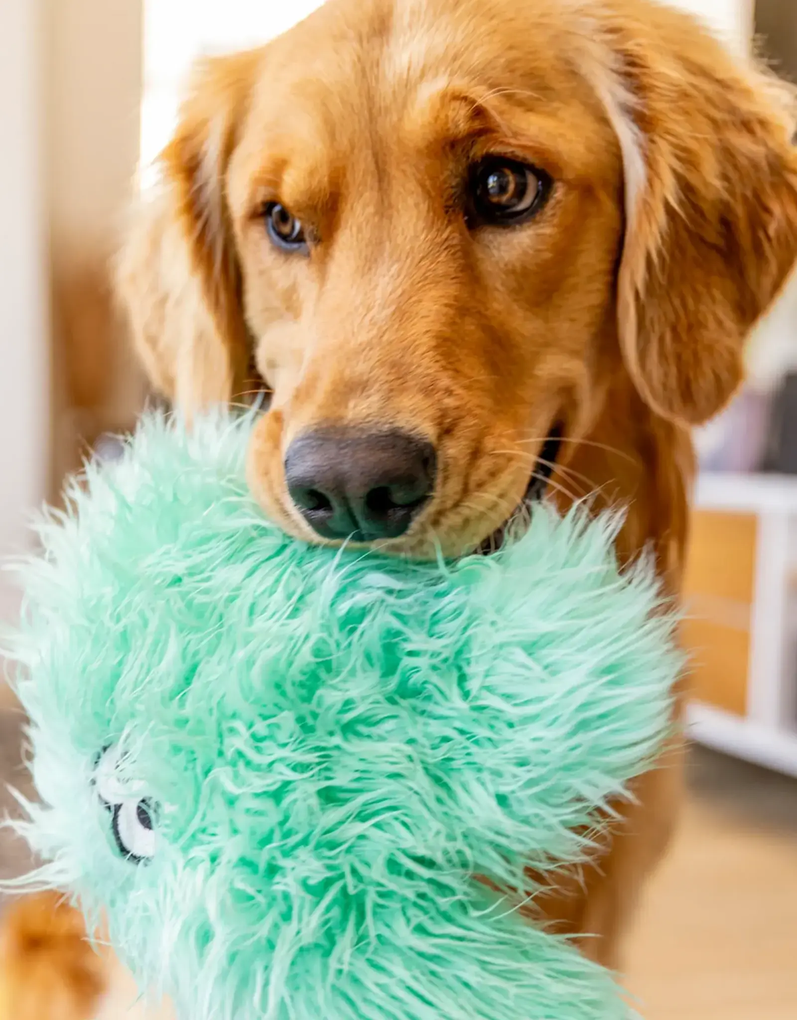 West Paw Rowdies - Helga