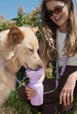 Springer Springer Flip Dog Water Travel Bottle