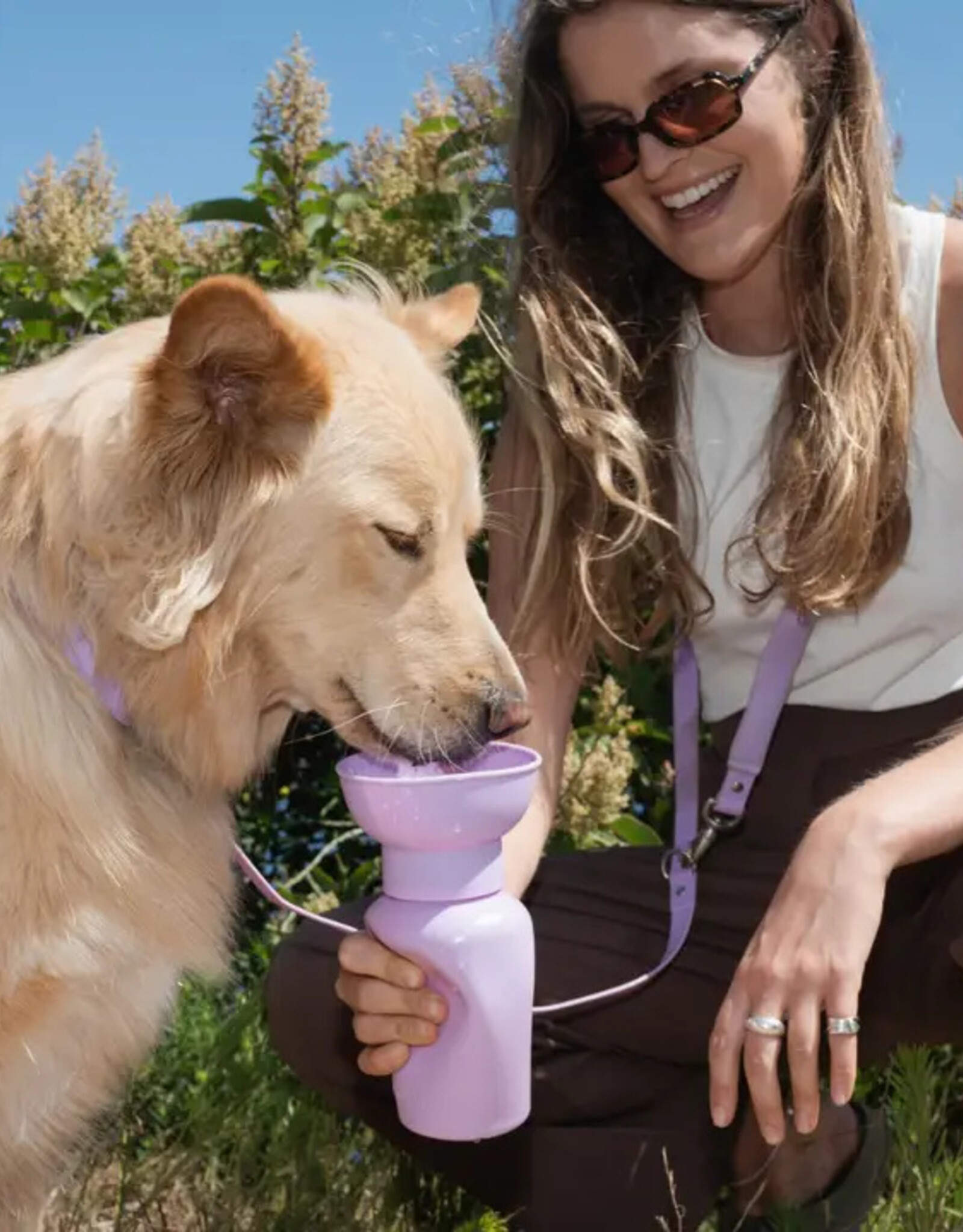 Springer Springer Flip Dog Water Travel Bottle