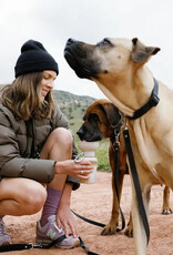 Springer Springer Flip Dog Water Travel Bottle