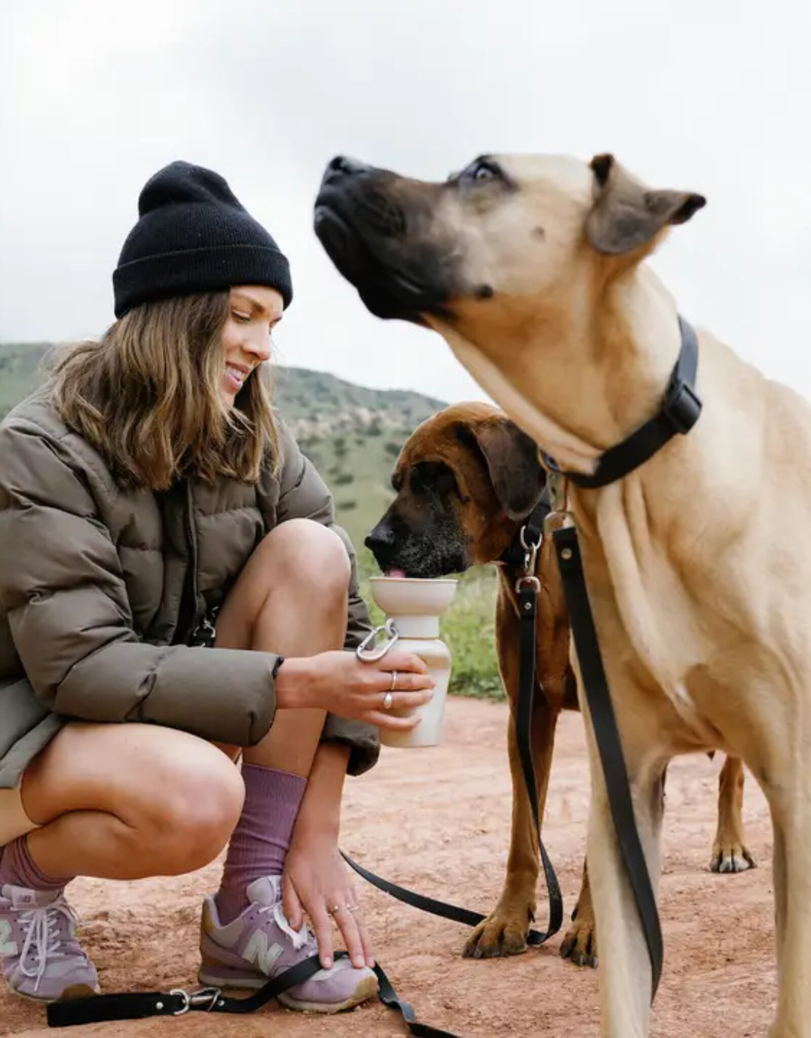 Springer Springer Flip Dog Water Travel Bottle