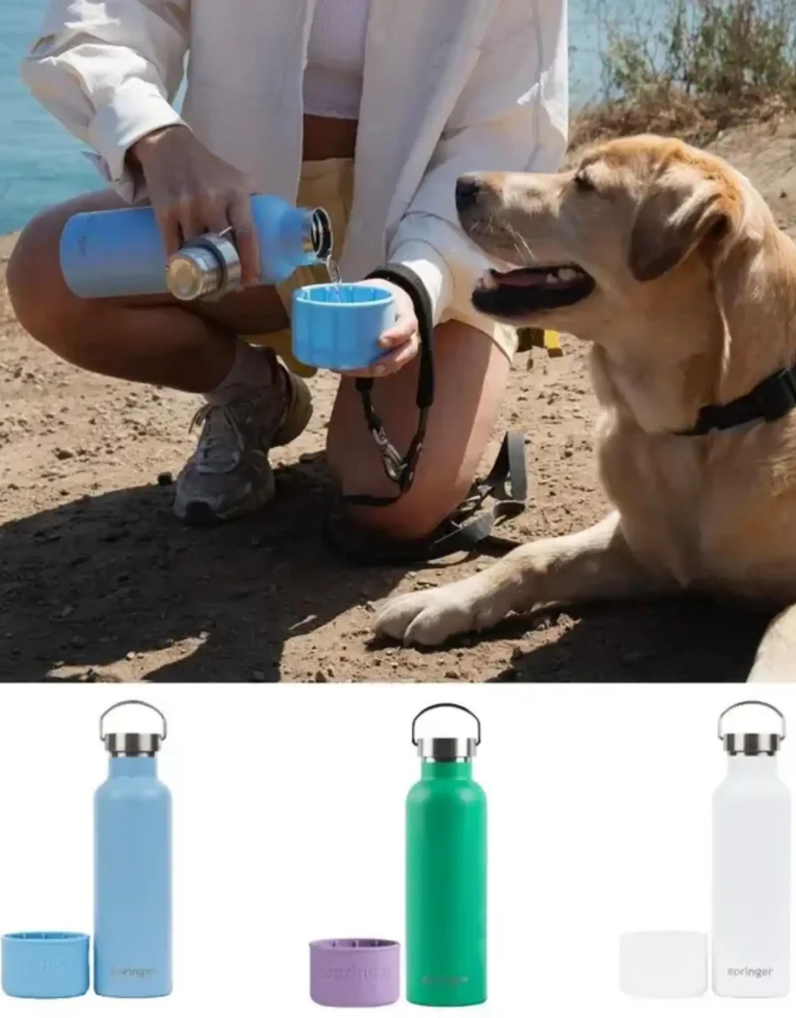 Springer Dog & Me 24oz Insulated Water Bottle