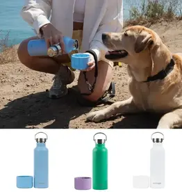 Springer Dog & Me 24oz Insulated Water Bottle