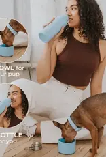 Springer Dog & Me 24oz Insulated Water Bottle