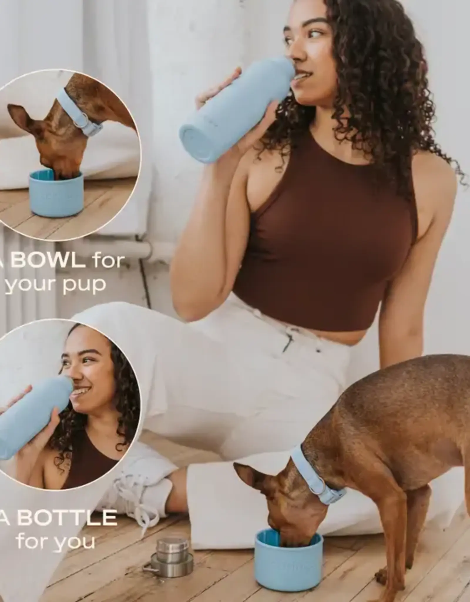 Springer Dog & Me 24oz Insulated Water Bottle