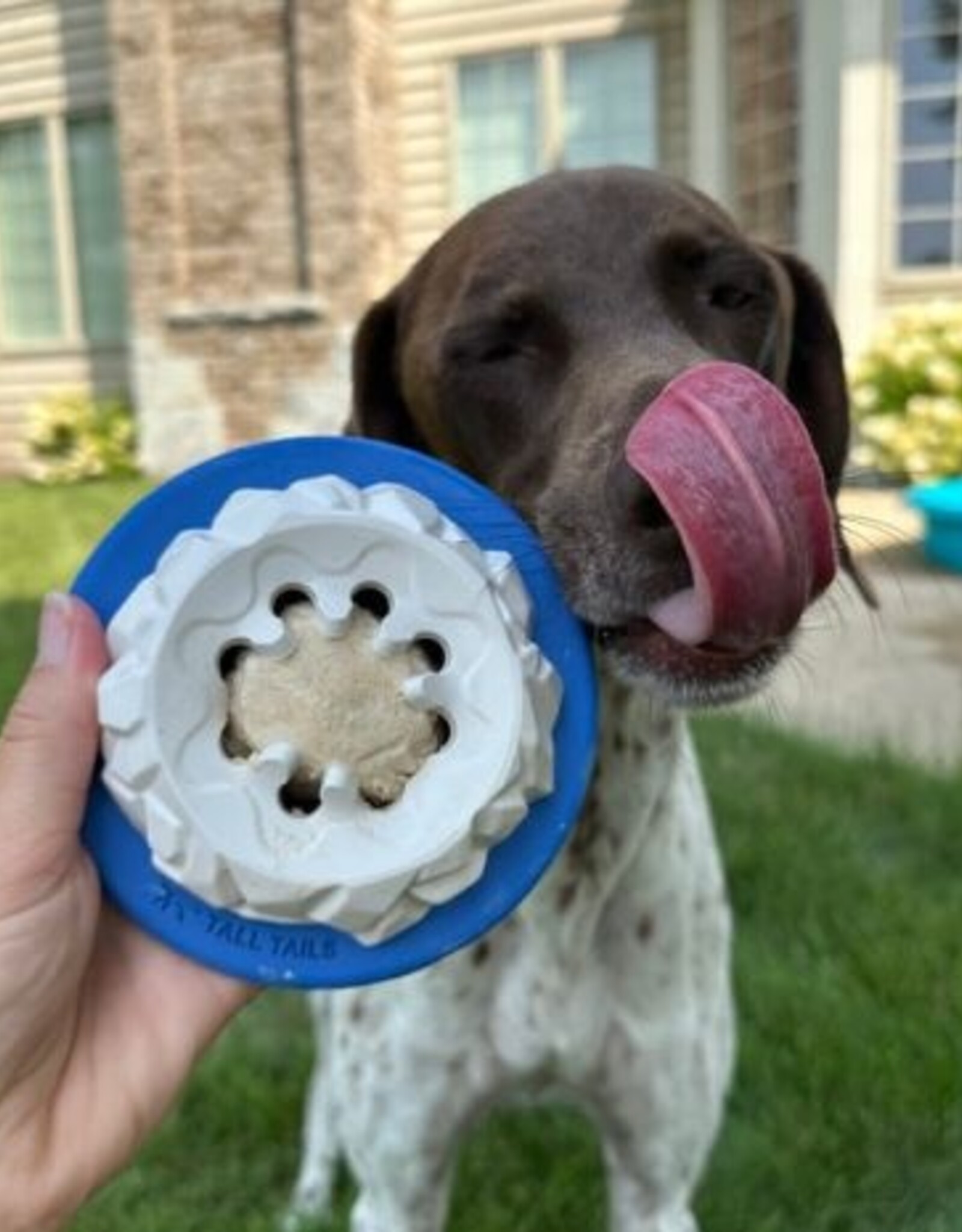 Tall Tails Tall Tails Natural Rubber Polar Freezable Reward Dog Toy