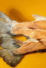 Freeze-Dried Salmon Mermaid Tail