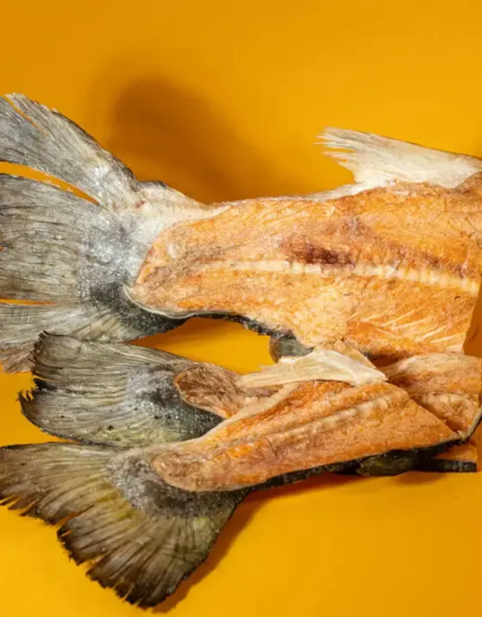 Freeze-Dried Salmon Mermaid Tail