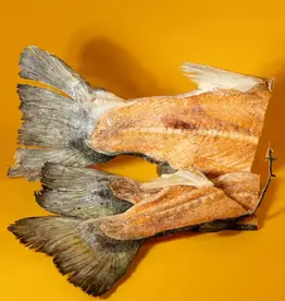 Freeze-Dried Salmon Mermaid Tail