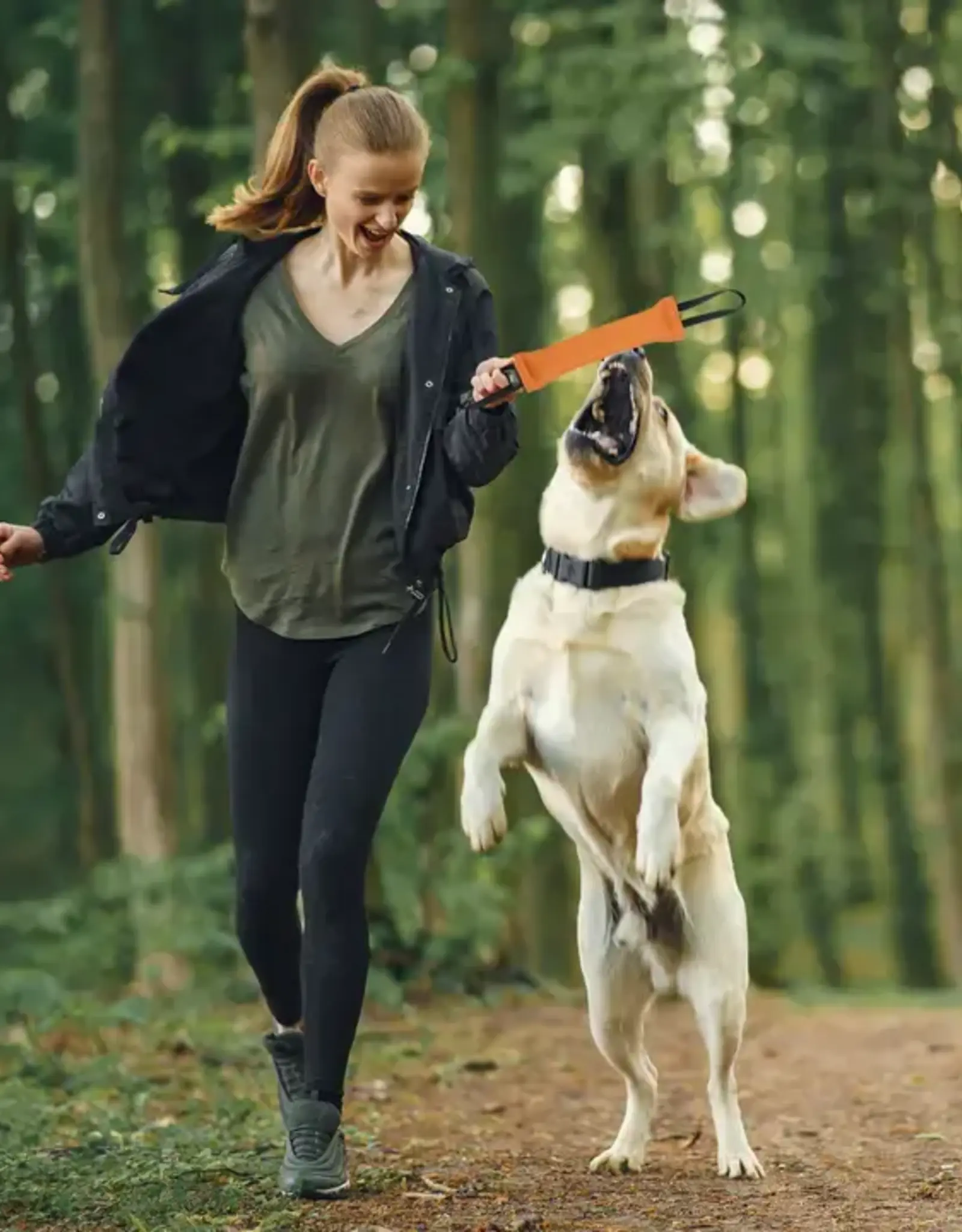 Viper French Linen Tug Dog Toy