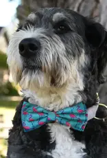 Bow Tie - Flamingo