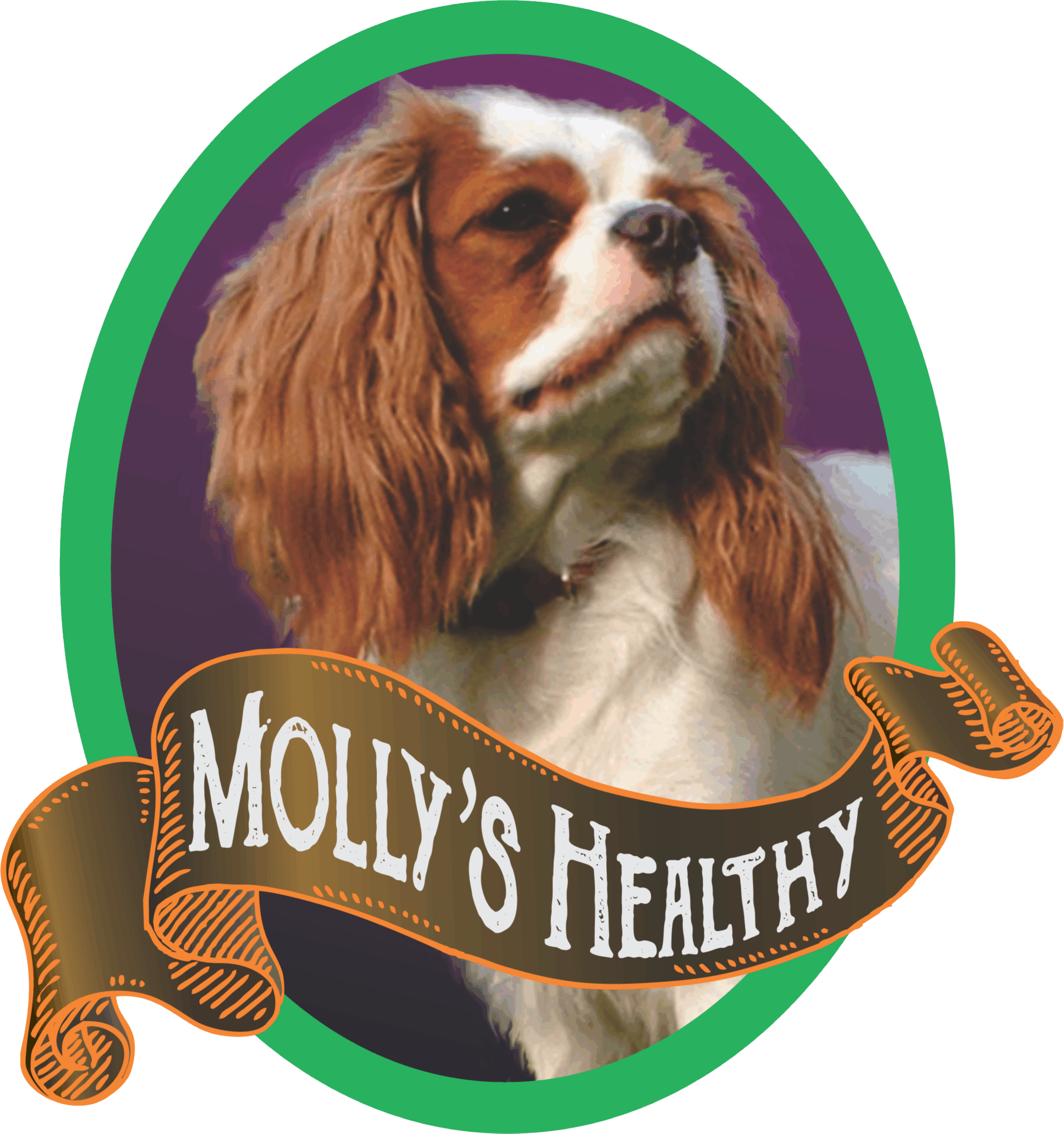 www.mollyshealthypfm.com