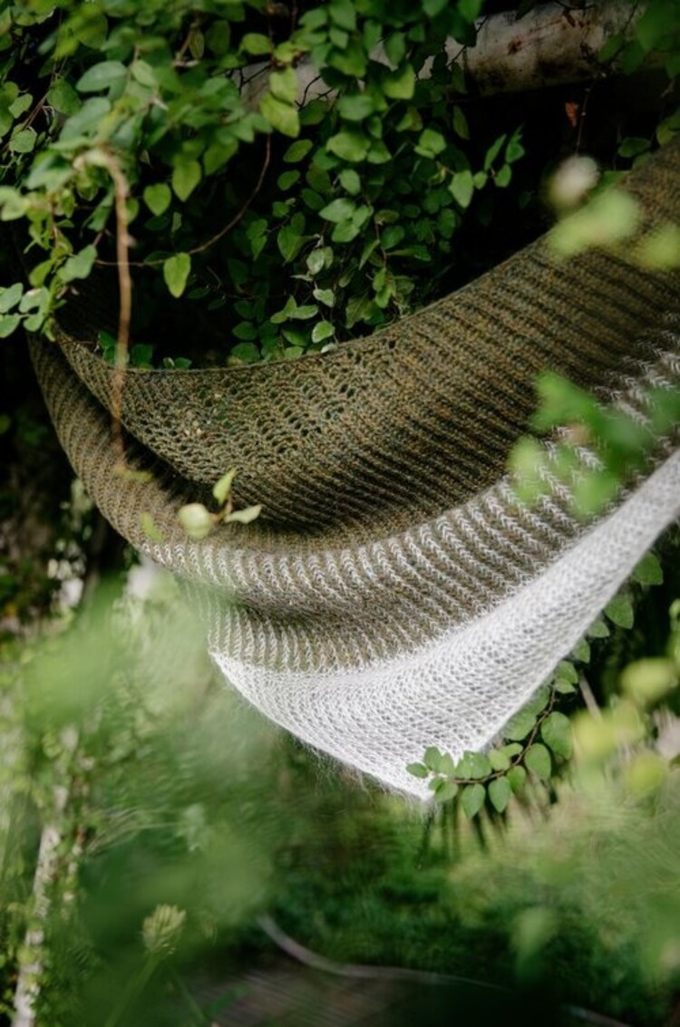 Laine Publishing Laine magazine 11