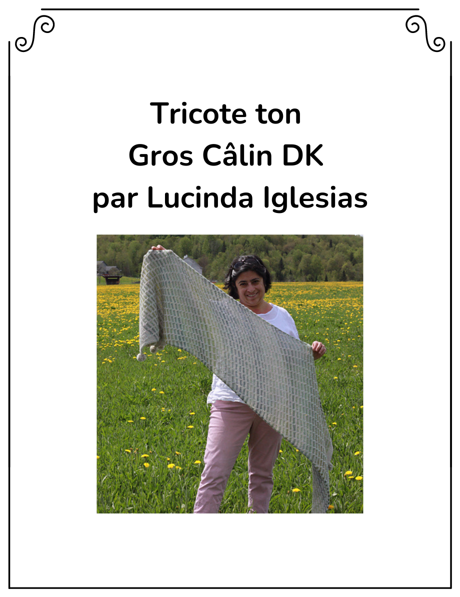 Kit Tricote ton Gros Câlin DK
