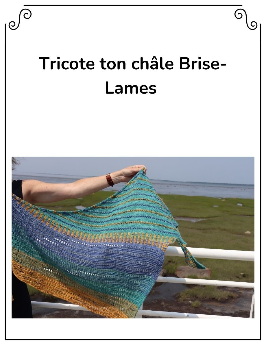 Julie Asselin Tricote ton châle Brise-Lames