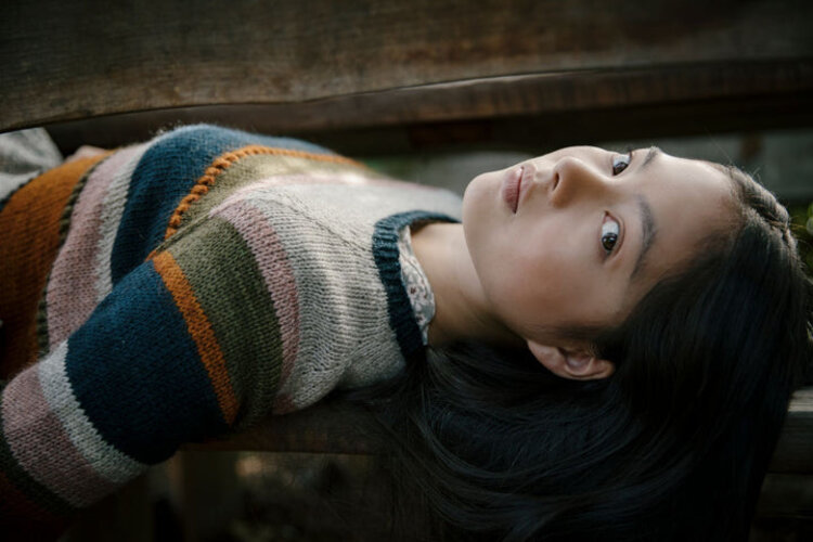 Laine Publishing Livre Worsted Français