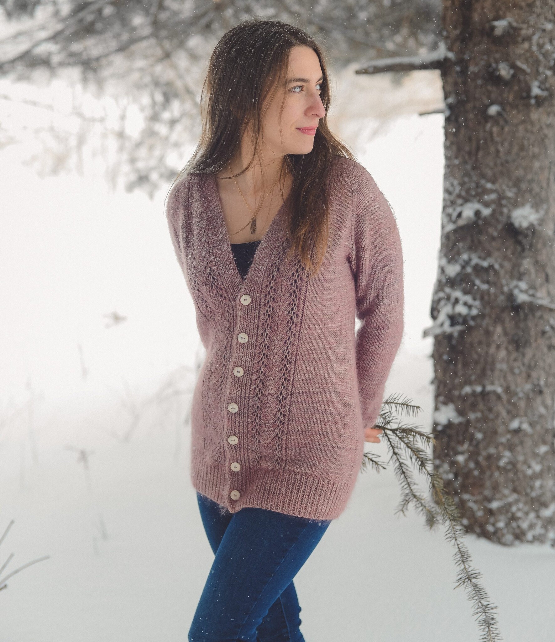 Julie Asselin Livres Lovely Lace Knits par Gabrielle Vézina