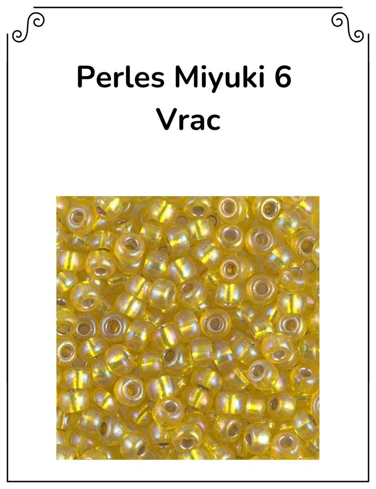 Caravan Beads Perles Miyuki 6 vrac