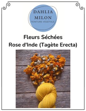 Dahlia Milon Textile Dahlia Milon - Fleurs Séchées Rose d'Inde (Tagète Erecta)