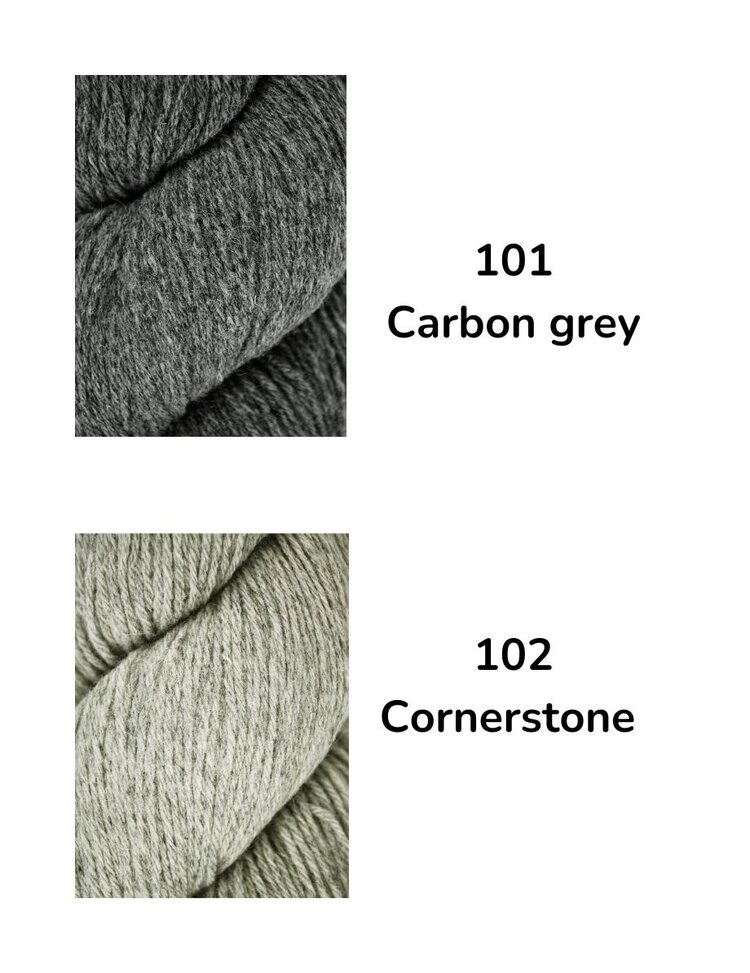 Queensland Queensland Tenderfoot