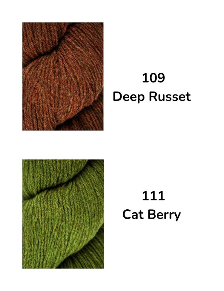 Queensland Queensland Tenderfoot