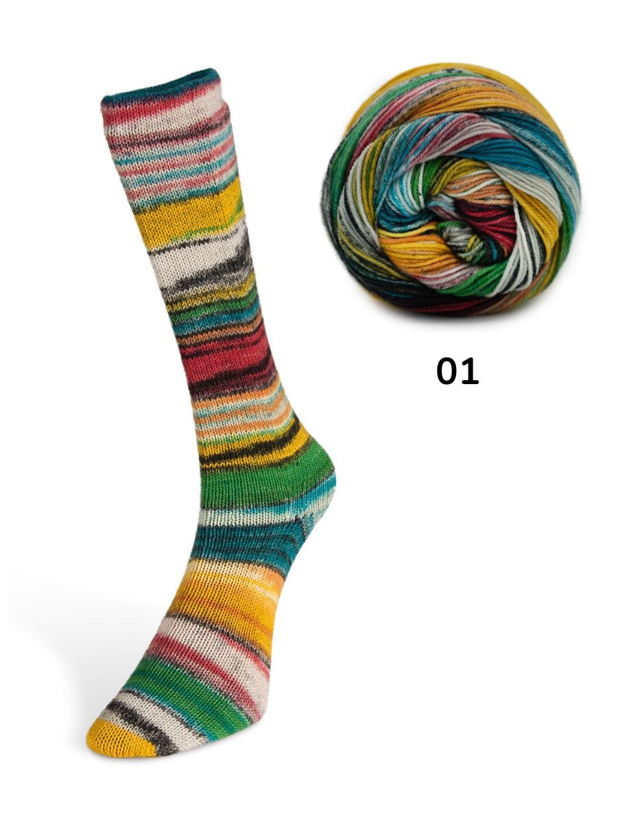 Laines du Nord Laines du Nord - Eclectic Socks