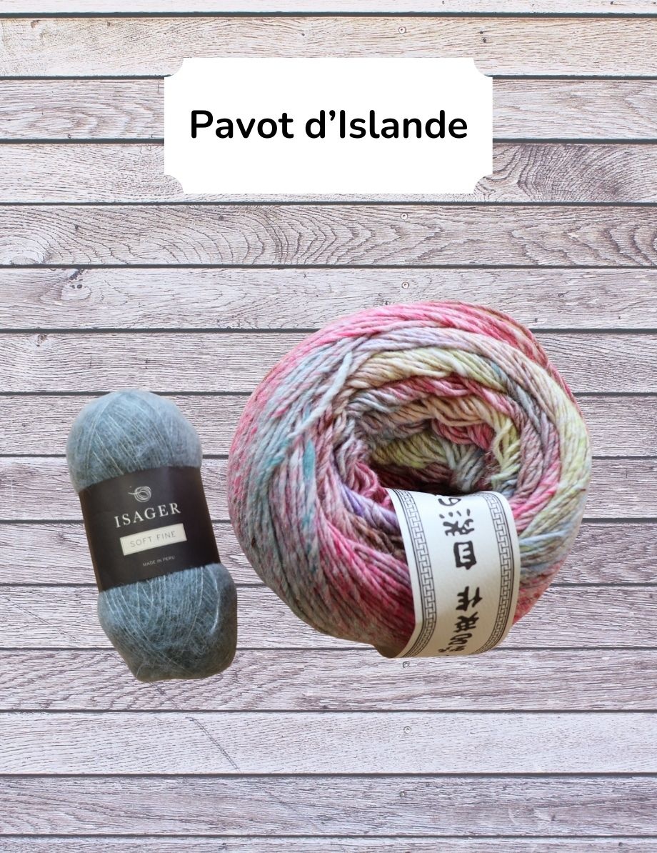 Tricote ton châle Esjan comme Léa