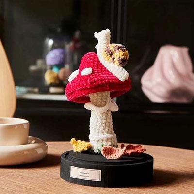 Rico Rico - Livre Ricorumi Champignons