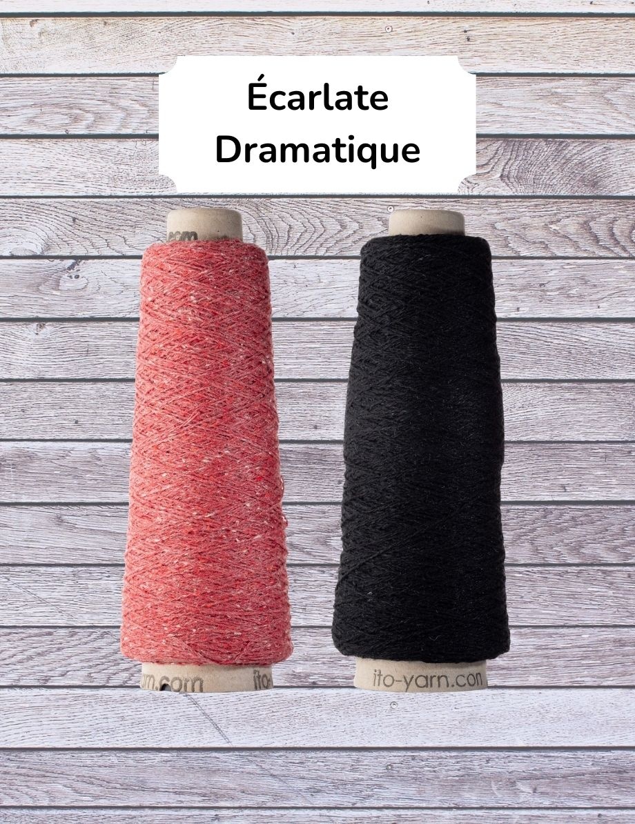 Ito Yarn Tricote ton Duality en soie