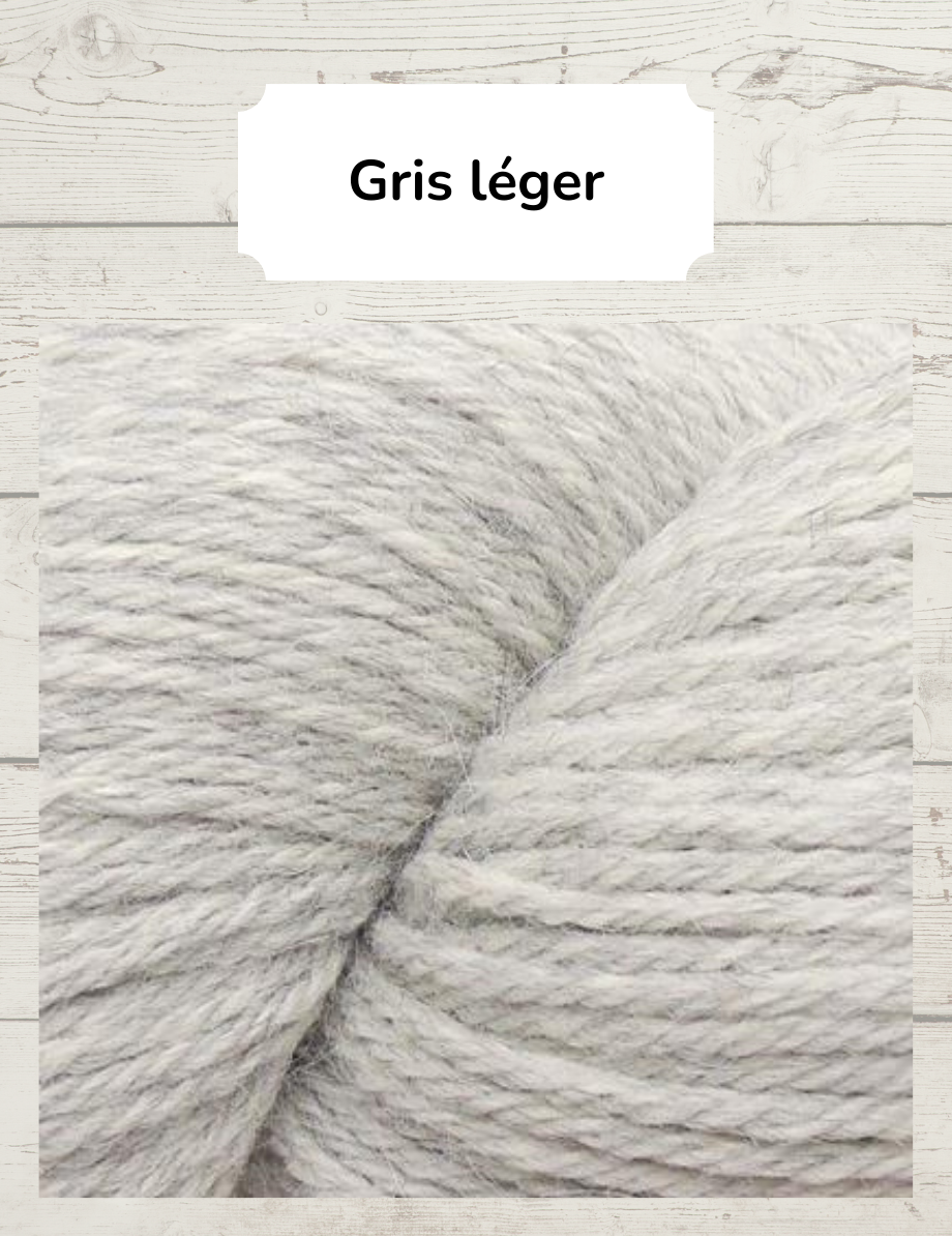 Tricote ta Bienveillante en Worsted