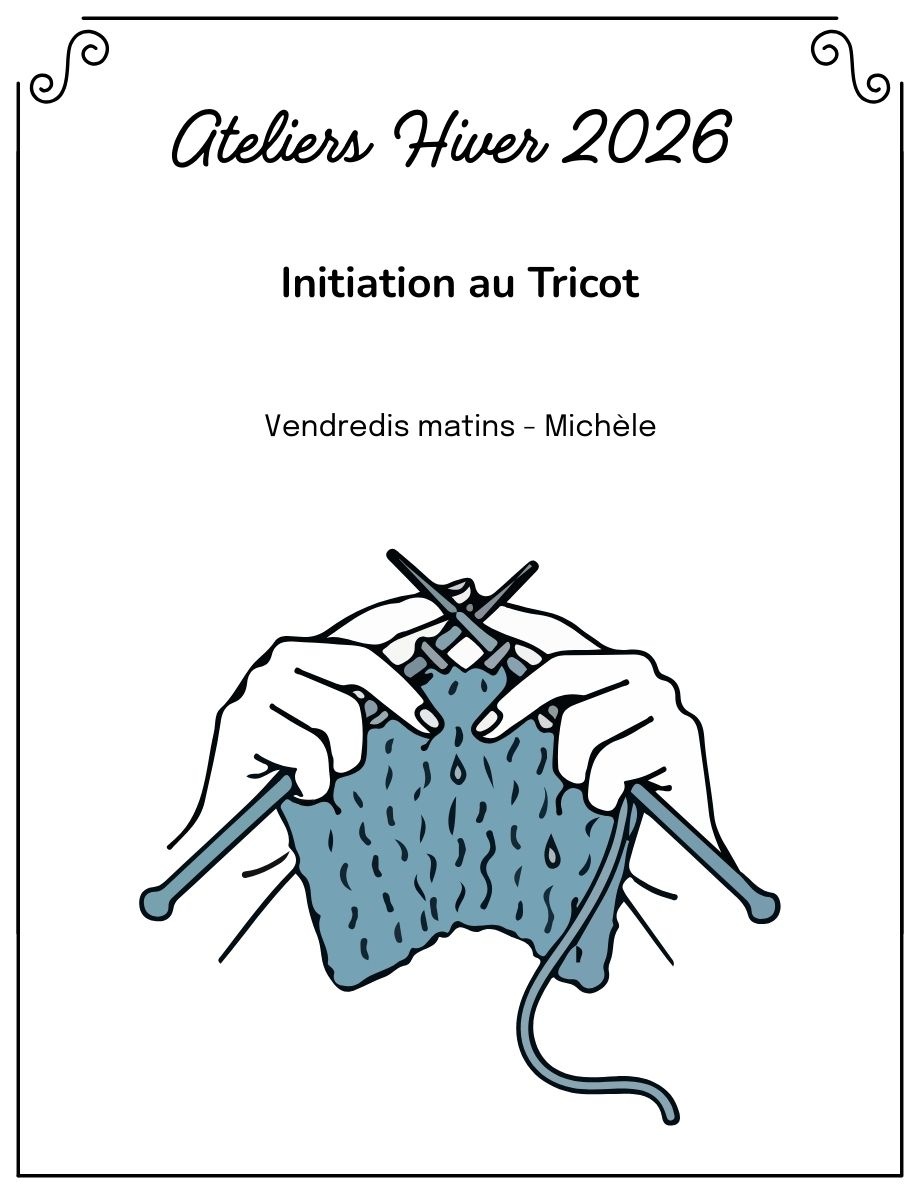 La Vie laine Ateliers Atelier tricot débutant VENDREDI AM