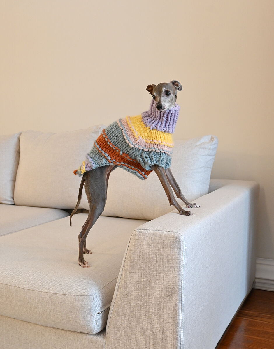 Wool and the Gang - Crazy Sexy Wool