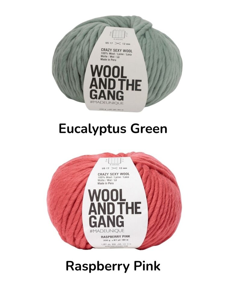 Wool and the Gang - Crazy Sexy Wool