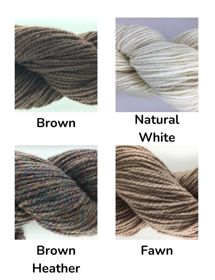 Briggs & Little Briggs & Little - Sport 1 ply