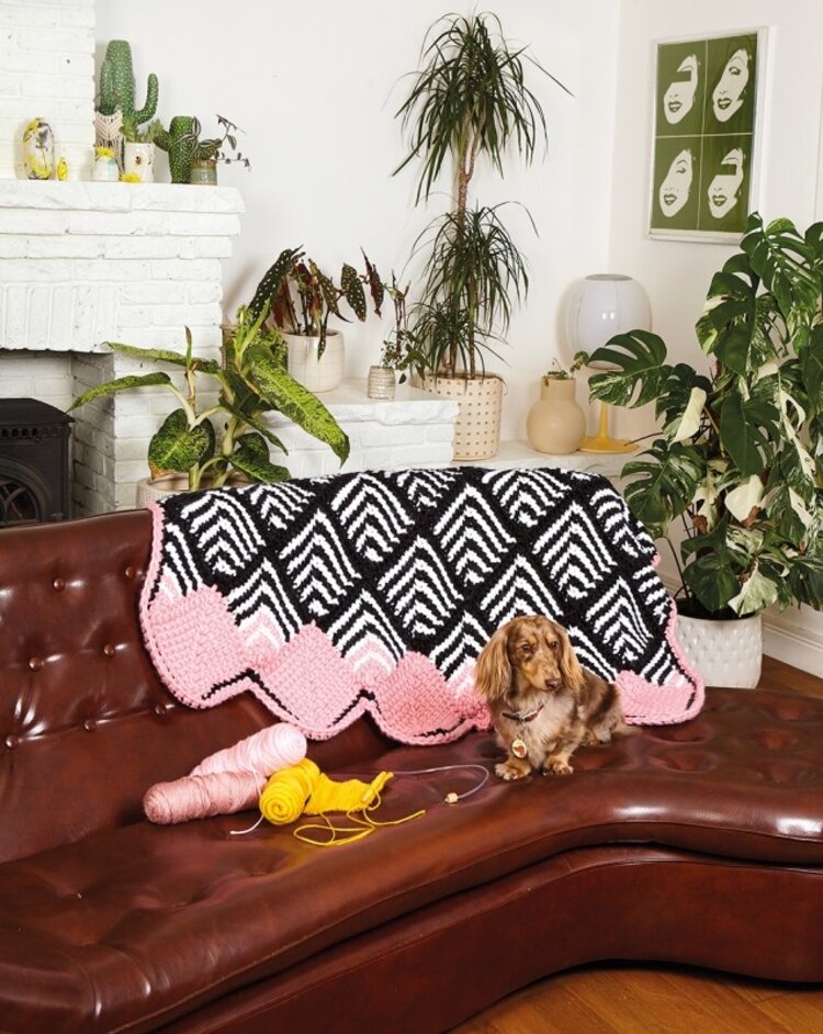 Search Press Beginner's Guide to Tunisian Crochet