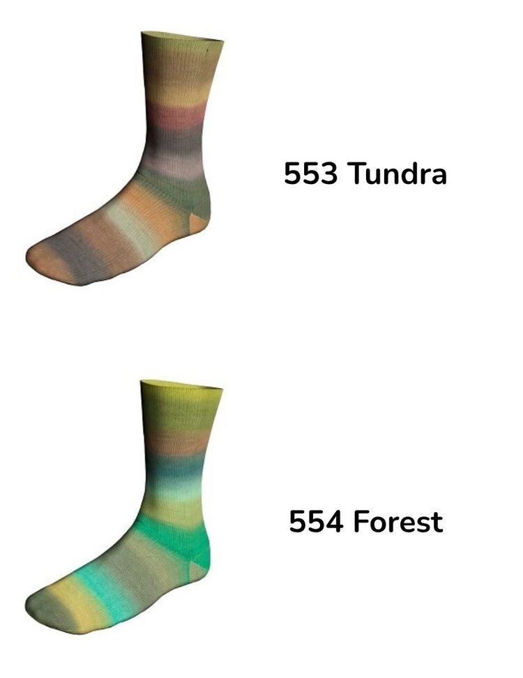 Lang Lang Twin Soxx - Biotope Soxx  merino 4-ply