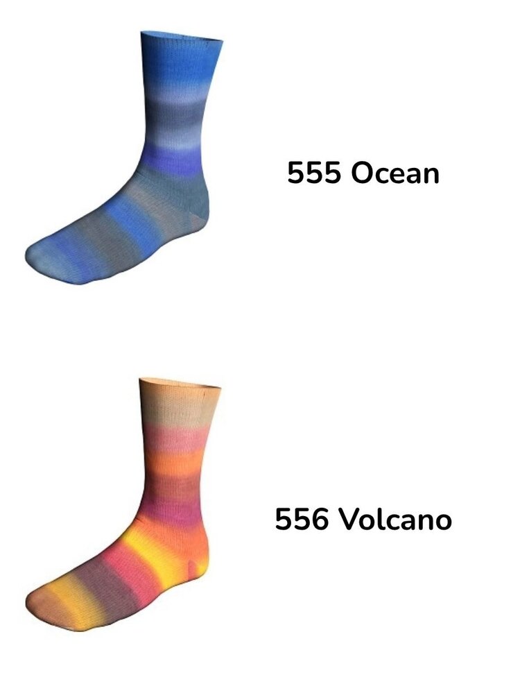 Lang Lang Twin Soxx - Biotope Soxx  merino 4-ply