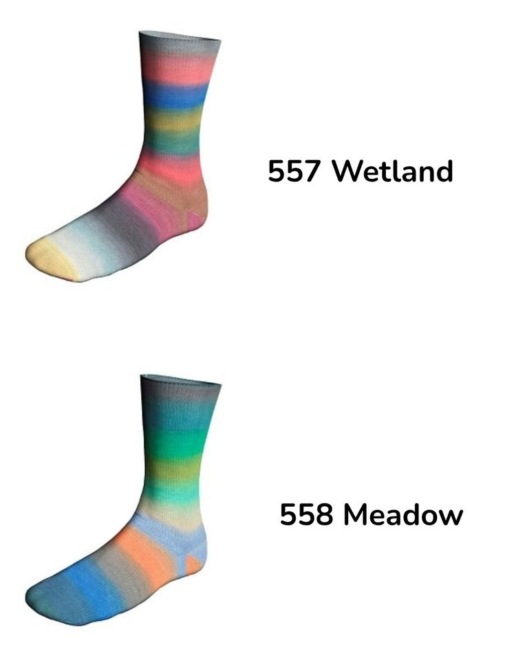 Lang Lang Twin Soxx - Biotope Soxx  merino 4-ply