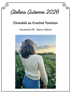 La Vie laine Ateliers Atelier Chandail crochet Tunisien VENDREDI PM