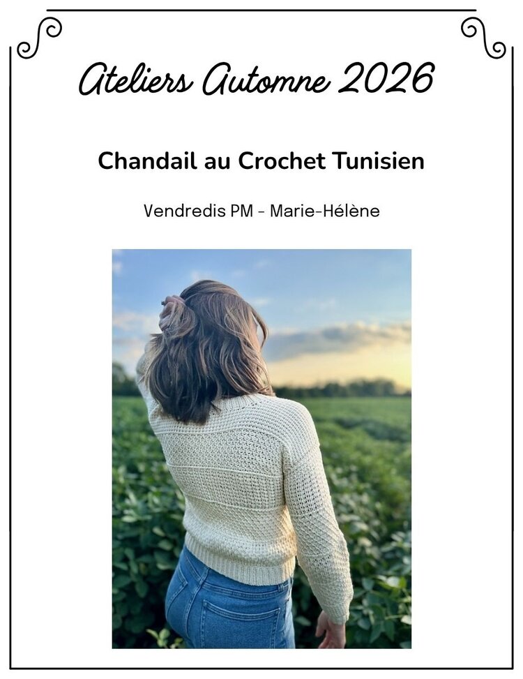 La Vie laine Ateliers Atelier Chandail crochet Tunisien VENDREDI PM