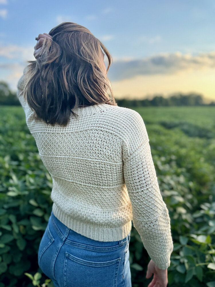 La Vie laine Ateliers Atelier Chandail crochet Tunisien VENDREDI PM
