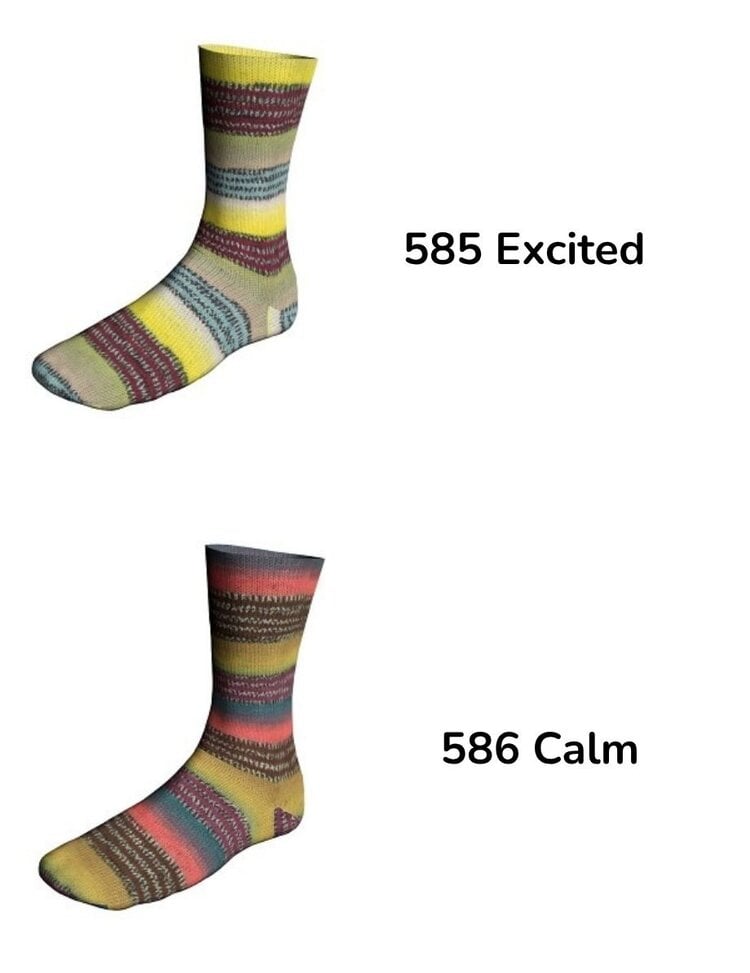 Lang Lang Twin Sox 4-ply - Mood