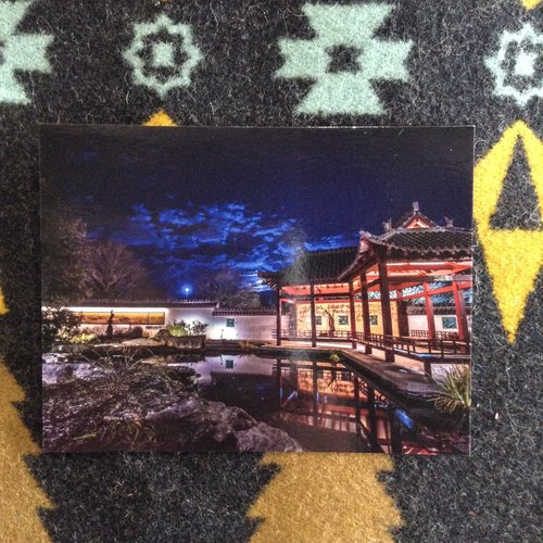 Scattered Lodge Photography (Aaron Santry) Photo Postcard 