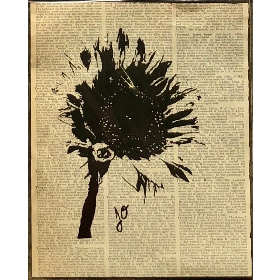 Jo O Hanlon Jo S 8 X 10 Prints The Workroom