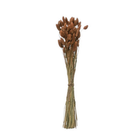 Dried Natural Canary Grass Bunch, Sienna Color