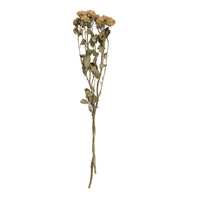 Dried Natural Rose Stem Bunch