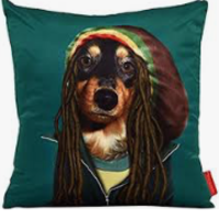 Pets Rock Icon Pillows