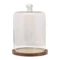 Glass Cloche with Wood and Metal Base